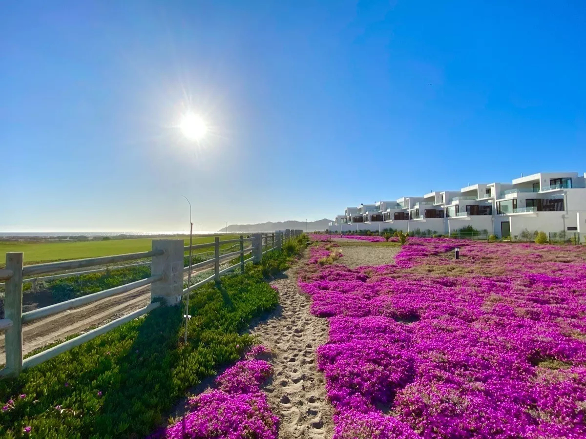 Hermosa Casa Nueva En Serena Golf, Sin Comisión, Proyecto Pu