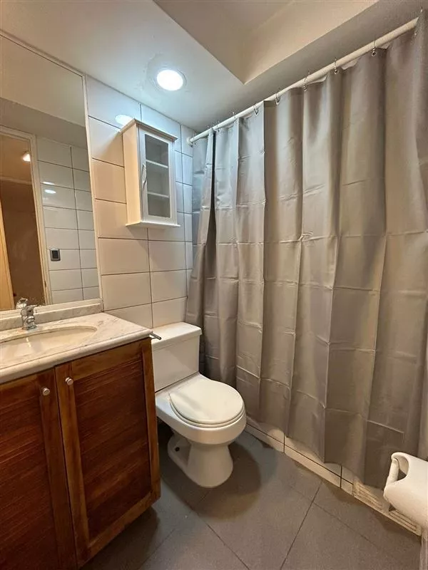 Departamento En Venta De 1 Dorm. En Santiago
