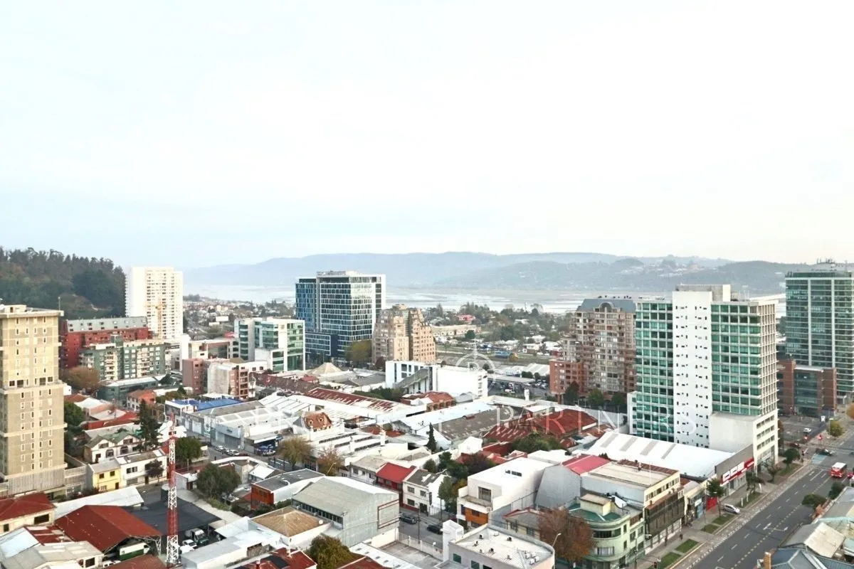 Concepción Centro, Concepción
