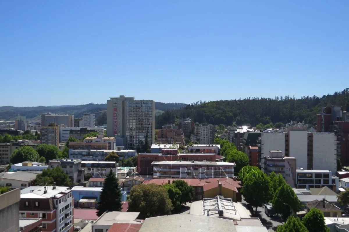 Centro De Concepción, Concepción