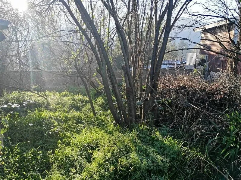 Casa / Sitio En Venta En Chiguayante