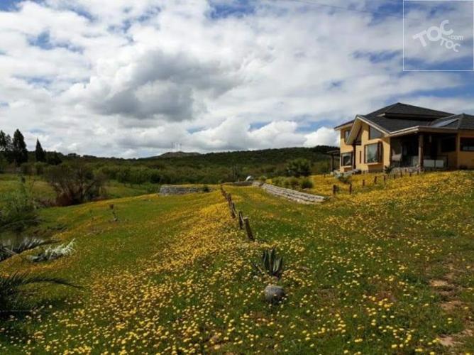 CAMINO PENCAHUE/RESTAURANT CAUPOLICÁN