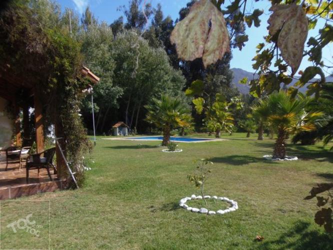 El Molle, Vicuña