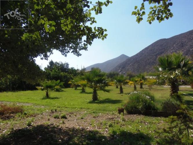 El Molle, Vicuña