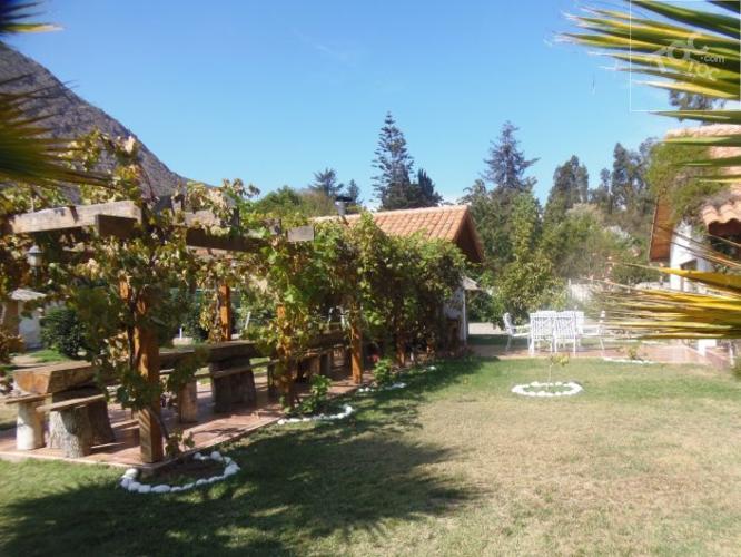 El Molle, Vicuña