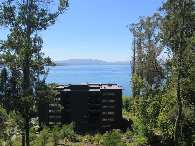 Camino Villarrica Pucón