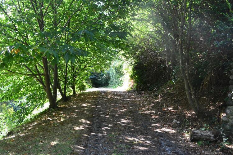 Camino Panguipulli a Choshuenco Km 21,5