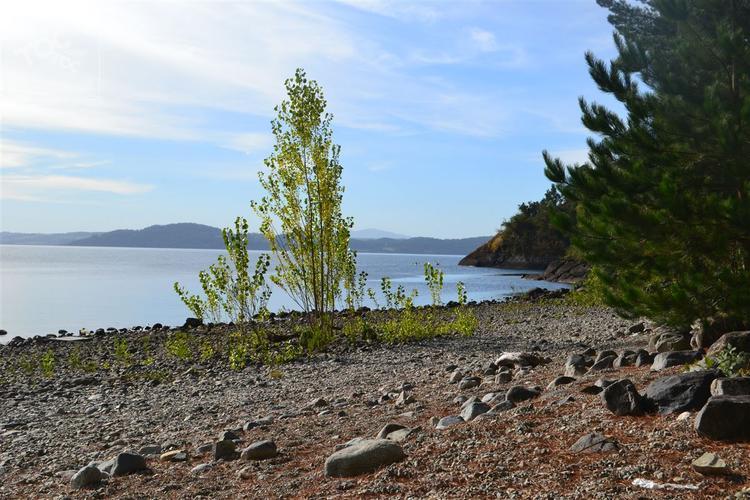 Camino Panguipulli a Choshuenco Km 21,5