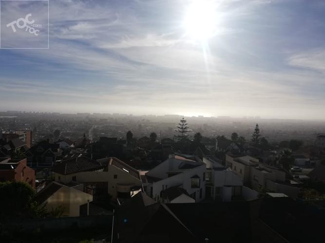LUISA KNEER 2861 DP 43 DP 43, La Serena