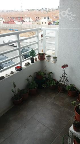 Avenida El Sauce 50, Coquimbo