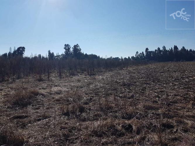Parcelas, terreno plano, Villa Alegre