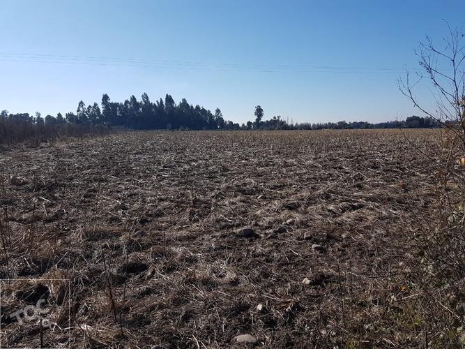 Parcelas, terreno plano, Villa Alegre