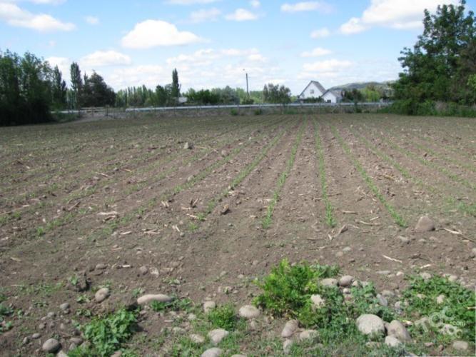 Parcelas, terreno plano, Villa Alegre
