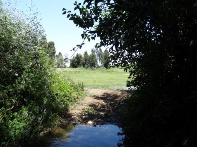 Parcelas, terreno plano, Villa Alegre