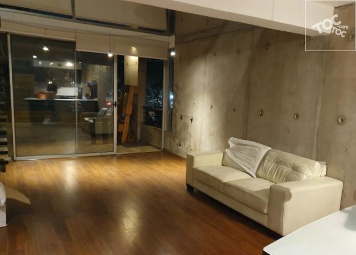 LOFT ANTONIO VARAS 1453, Providencia