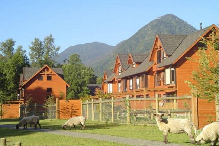 Bosques de Puerto Pucón