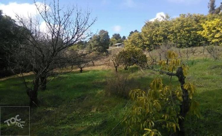 Propiedad de 2.900 m2 en Perales Alto