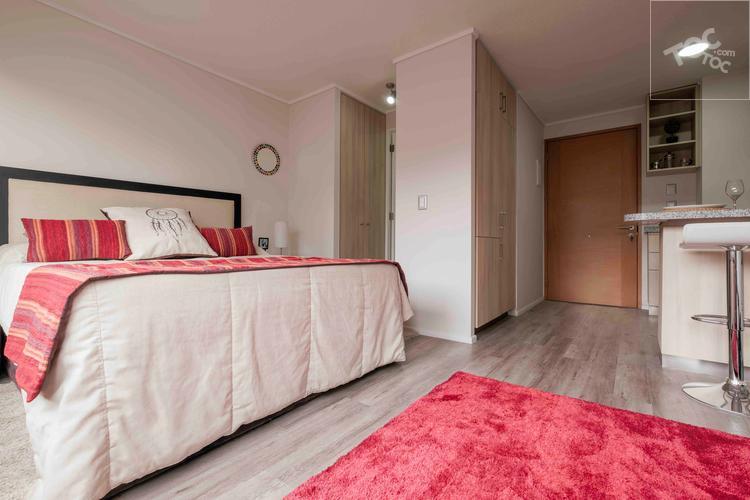 Arriendo Departamento Tipo Studio Metro Ñuble