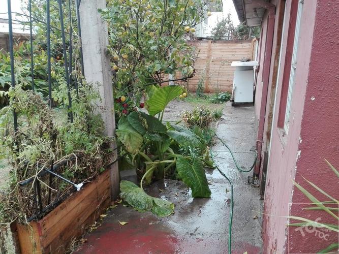 CASA GRAN TERRENO METRO TRINIDAD
