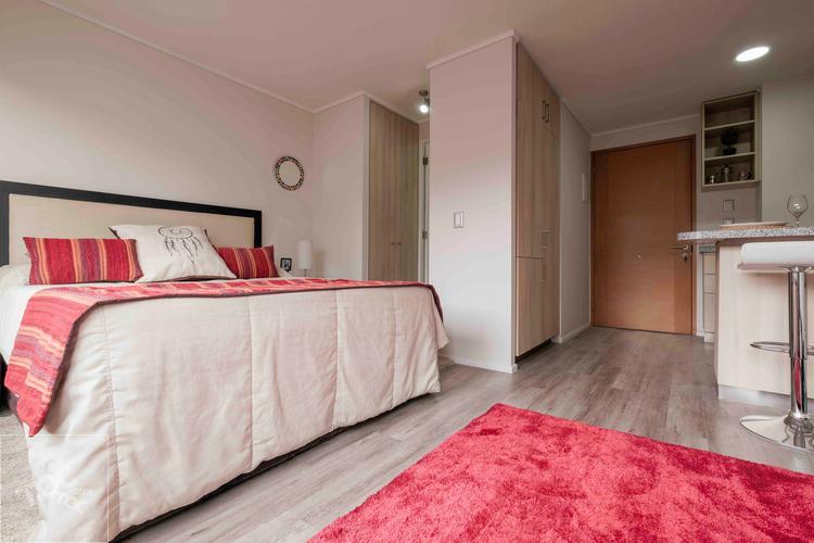 Arriendo Departamento Tipo Studio Acepta Mascotas Santa Elena 2120 Metro Ñuble