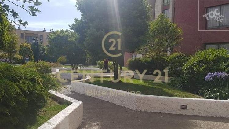 Calle Balmaceda Condominio Parque de Reñaca