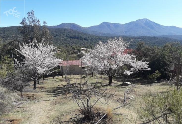 EL LLANO DE CALEU