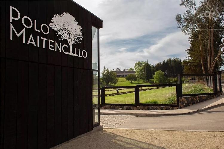 Polo Maitencillo