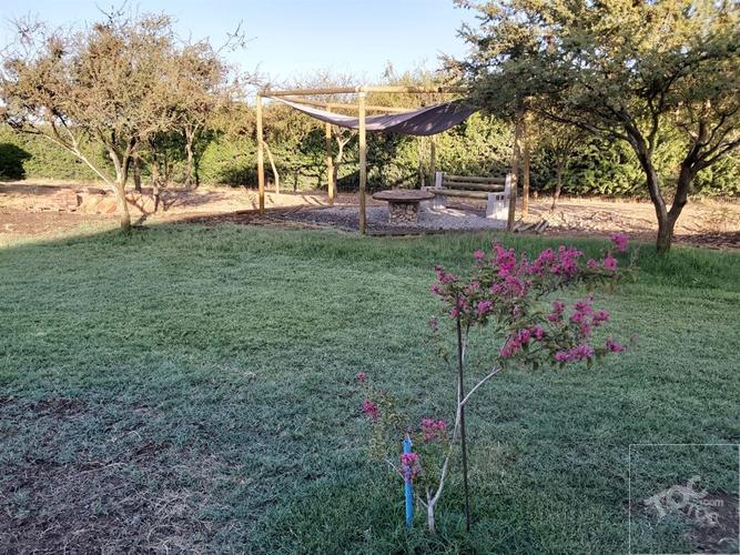 Camino Carampangue - Colegio Trebulco