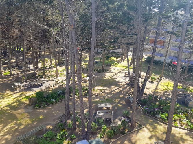 CONDOMINIO BOSQUES EL TABO ETAPA IV 401, El Tabo