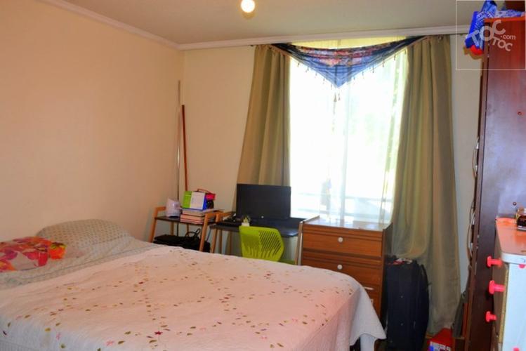 Arriendo en Avenida Parque del Este, ciudad del Este. Puente Alto