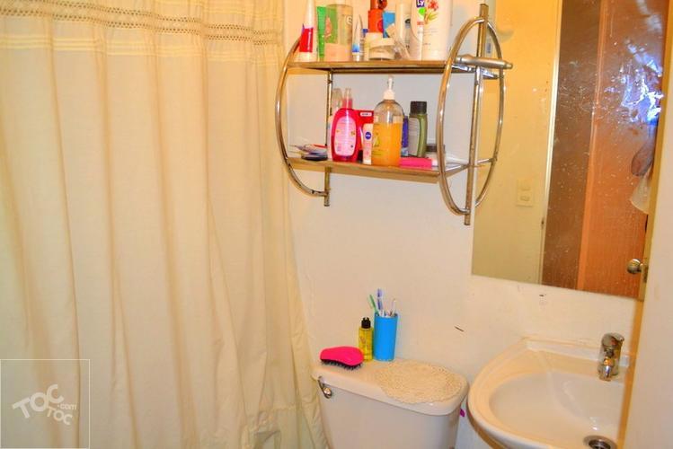 Arriendo en Avenida Parque del Este, ciudad del Este. Puente Alto