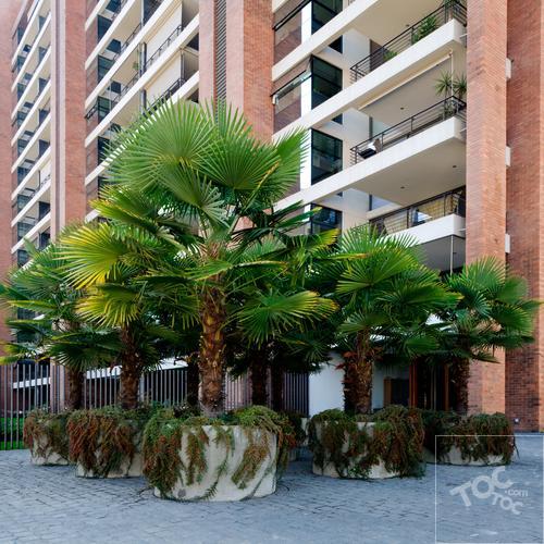 Saturno 5850, Las Condes