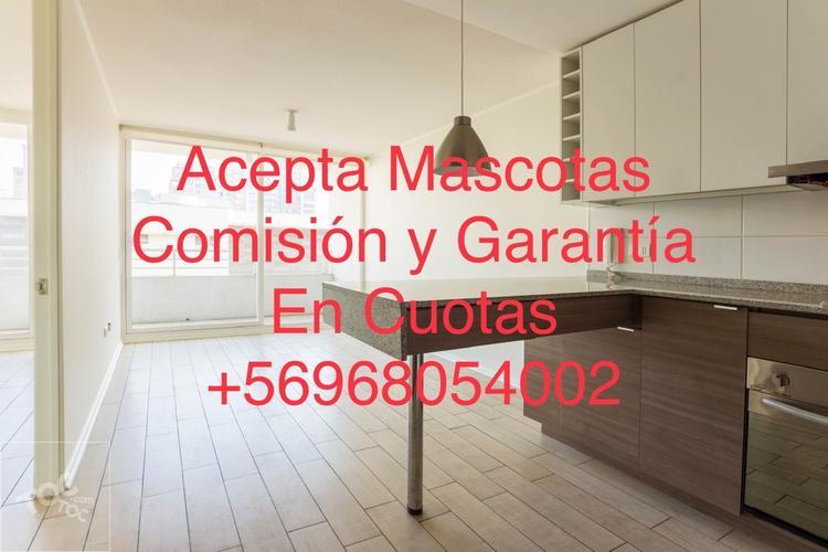 1 Habitación y 1 Baño en Suite Acepta Mascotas Carmen 368 Esq. Santa Isabel