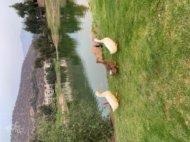 Valle Escondido 3330, Lo Barnechea