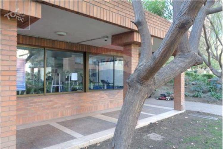 Alejandro Serani norte