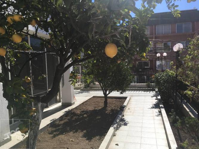 (502 V) VIÑA DEL MAR, TRASLAVIÑA,