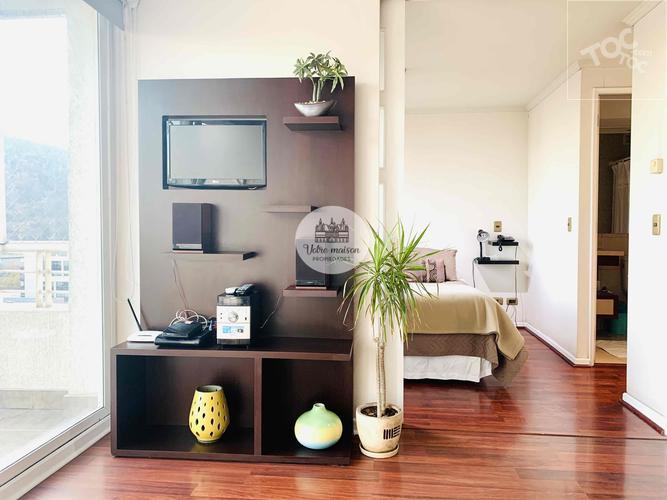 Espectacular Departamento Amoblado , Excelente Ubicacion, Providencia, Metro Manuel Montt , Metro Pedro De Valdivia