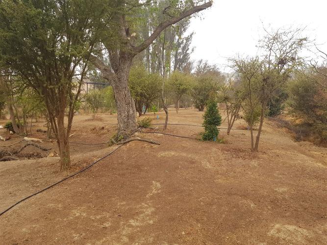 (RBR) Condominio Los Leones - Limache