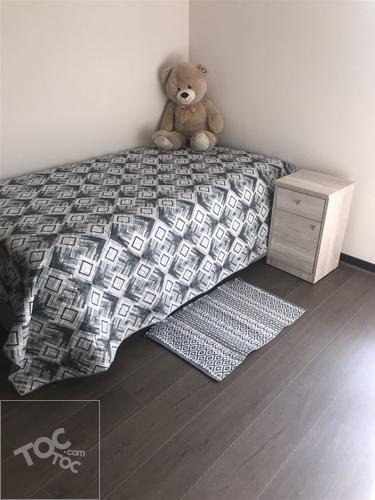Arriendo Departamento Amoblado en Las Condes 2D- 2B ESTACIONAMIENTO Y BODEGA