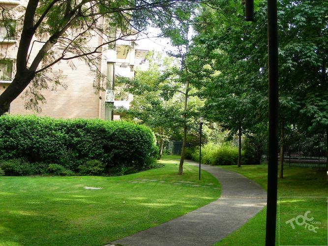 Los Abetos Sur - Parque Arauco