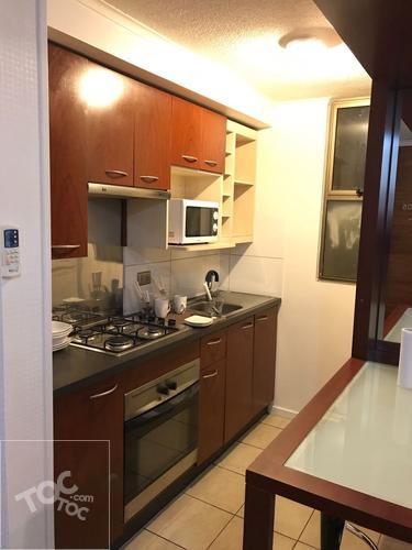 Arriendo departamento, Tipo Loft, a pasos metro Bellas Artes y Barrio Lastarria