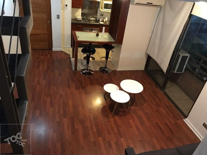 Arriendo departamento, Tipo Loft, a pasos metro Bellas Artes y Barrio Lastarria