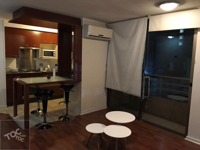 Arriendo departamento, Tipo Loft, a pasos metro Bellas Artes y Barrio Lastarria