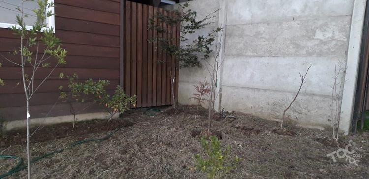 ALTOS MAHUIZA/ INTENDENTE LUIS DAMANN ASENJO