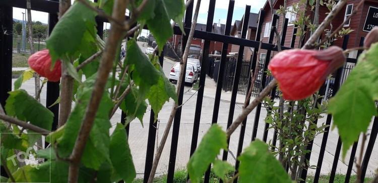 ALTOS MAHUIZA/ INTENDENTE LUIS DAMANN ASENJO