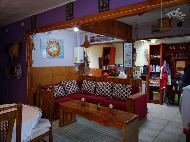 Sendero de Alerce - Puerto Montt