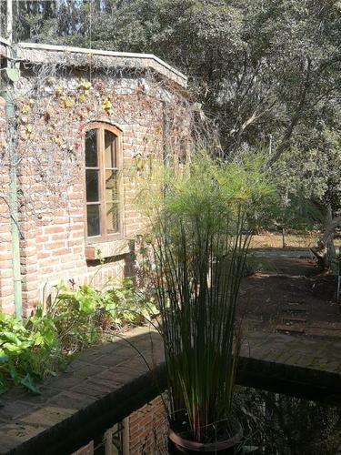 Casa Santo Domingo