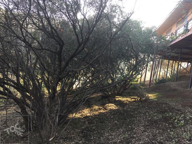 Condominio Las Hijuelas // Camino los Refugios