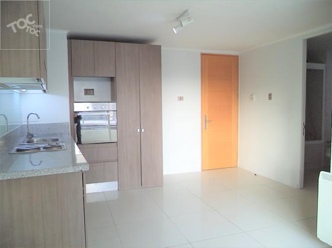 ARRIENDO METRO SANTA LUCIA / SARA DEL CAMPO / CARMEN