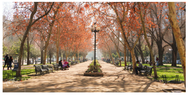 VENTA Deptos Barrio Parque Bustamante, Ñuñoa